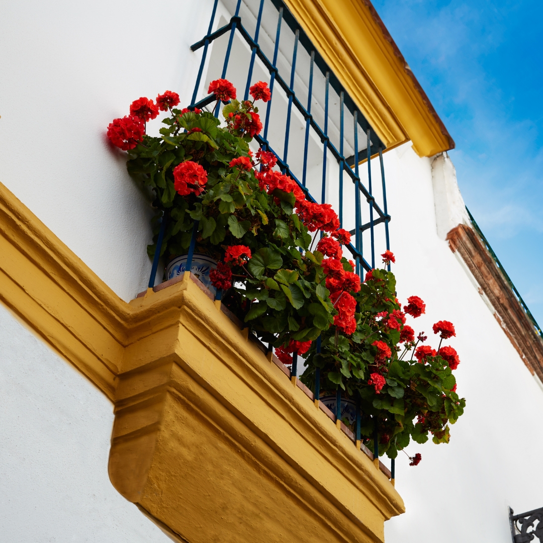 que ver en sevilla y alrededores