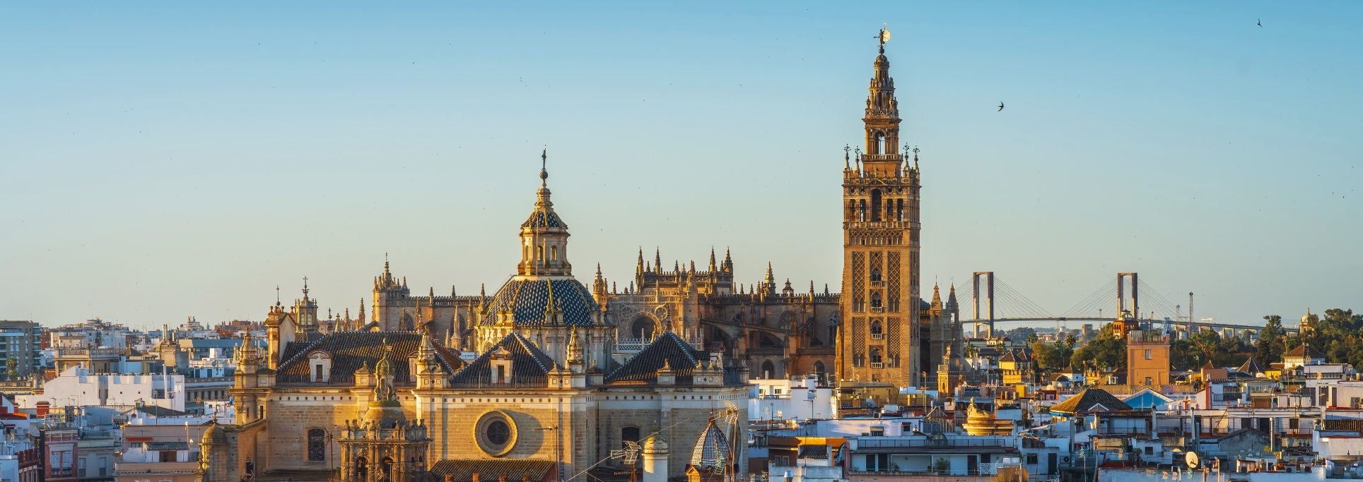 que ver en sevilla con niños