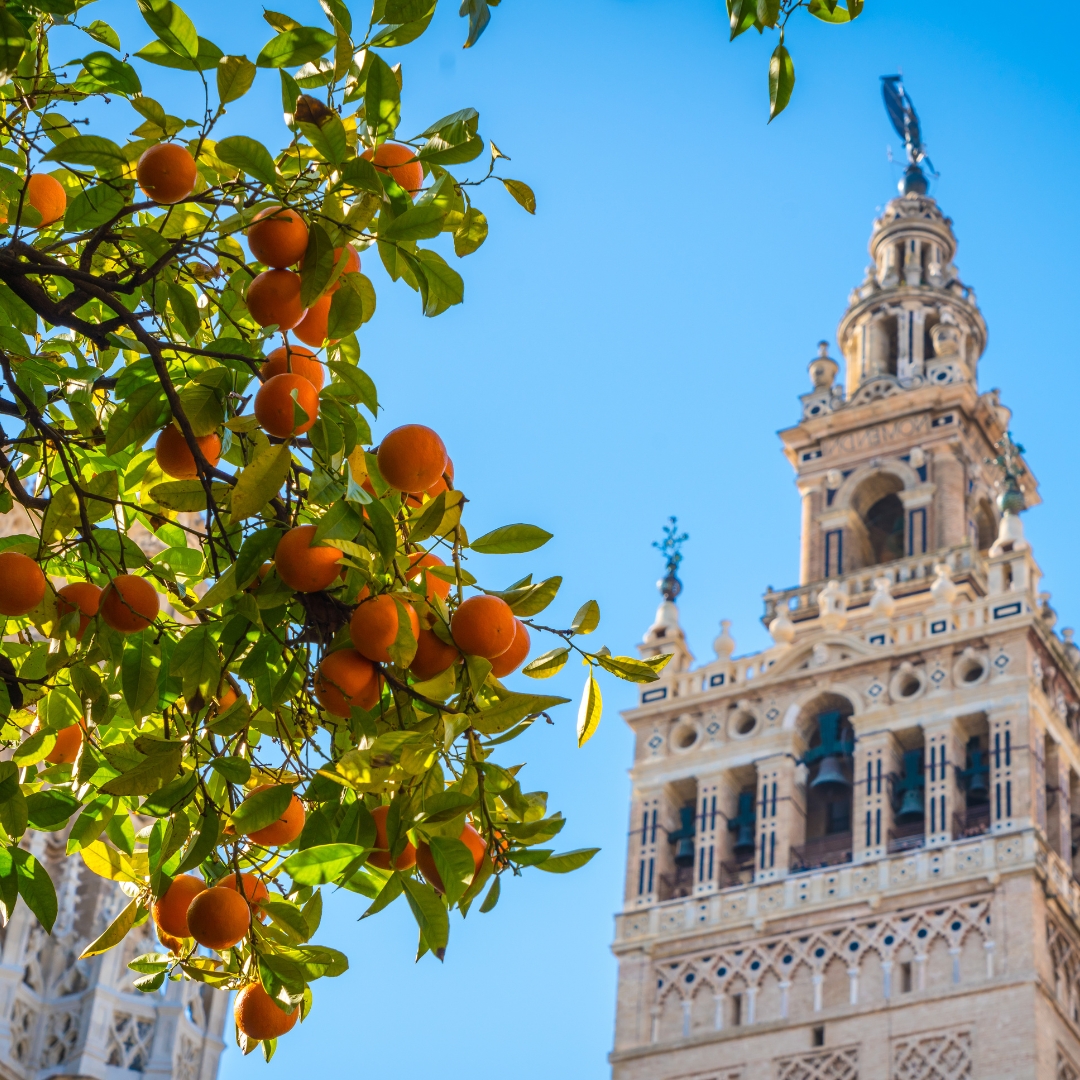 que ver en sevilla en navidad