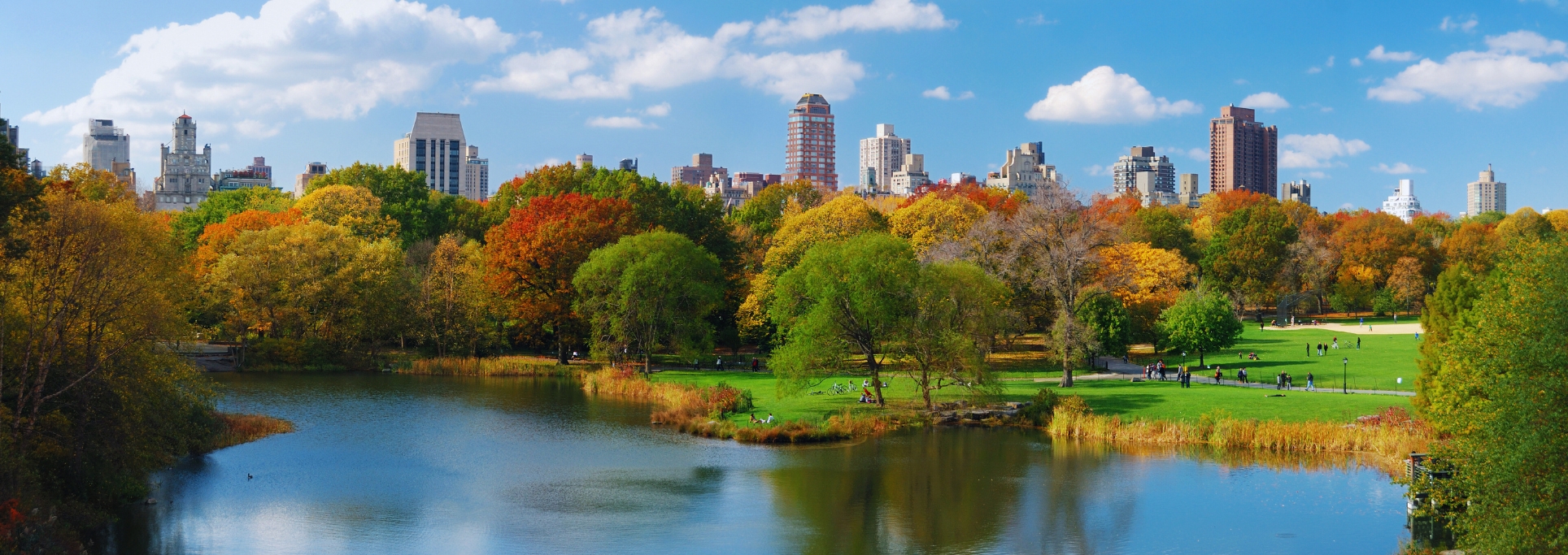 que ver en central park nueva york