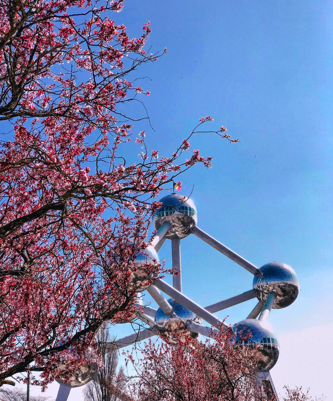 Que ver en Bruselas