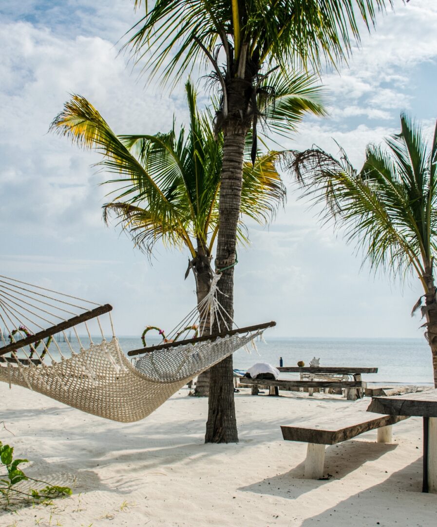 que ver en zanzibar en dos semanas
