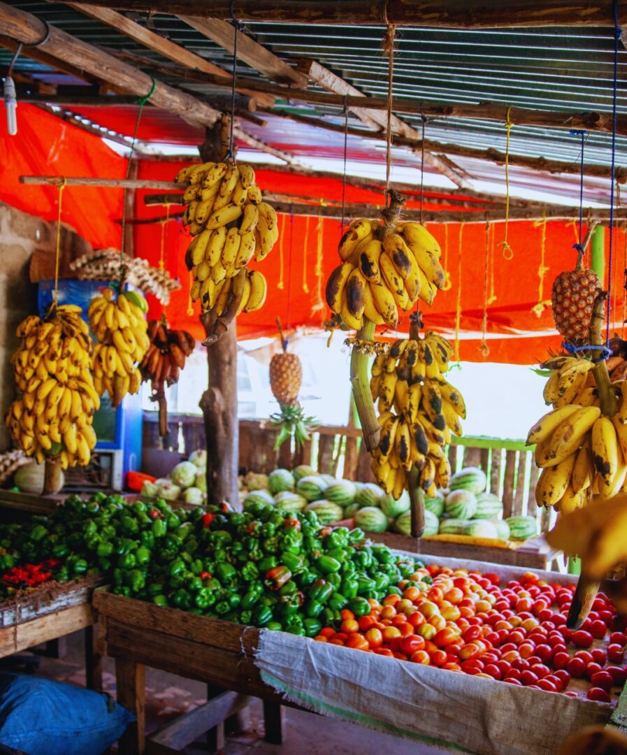 que ver en tanzania y zanzibar