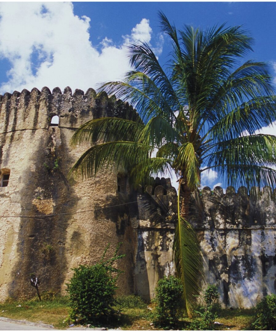 que ver en zanzibar en 4 dias