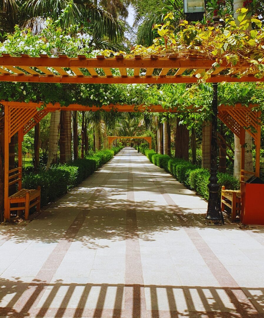 que ver en aswan por libre