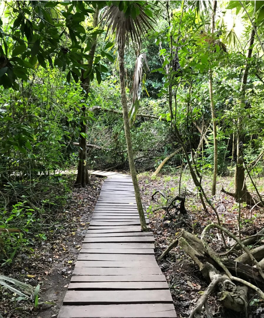 que ver en cancun en 7 dias