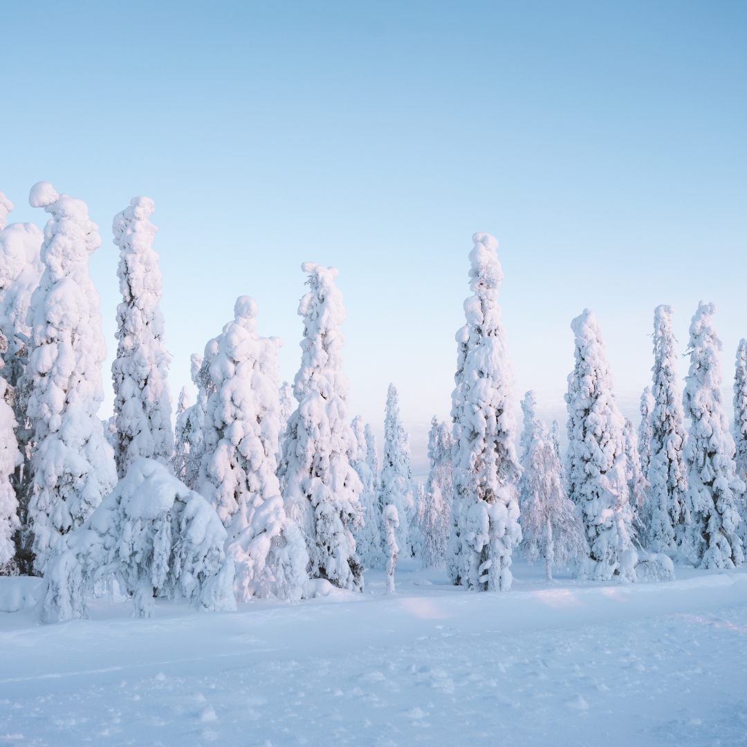 que ver finlandia