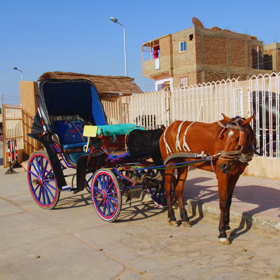 o que ver em luxor