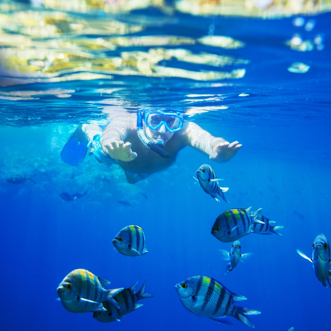 balneario de sharm el sheij