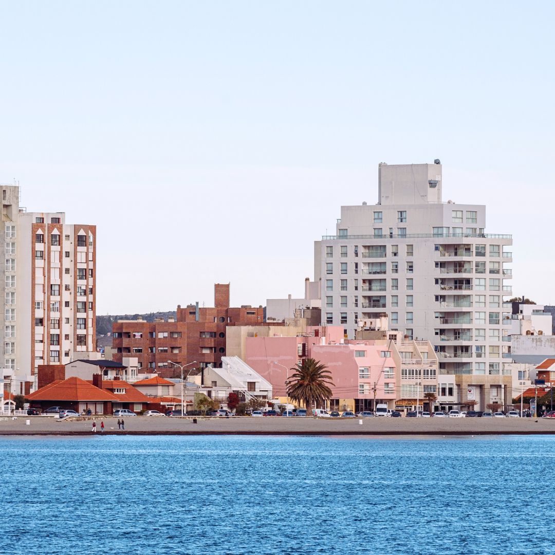 avistamiento puerto madryn