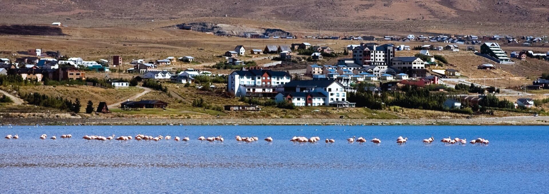 Que ver en El Calafate