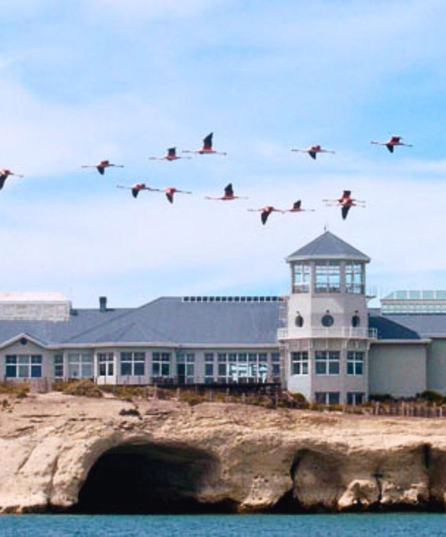 ecocentro puerto madryn