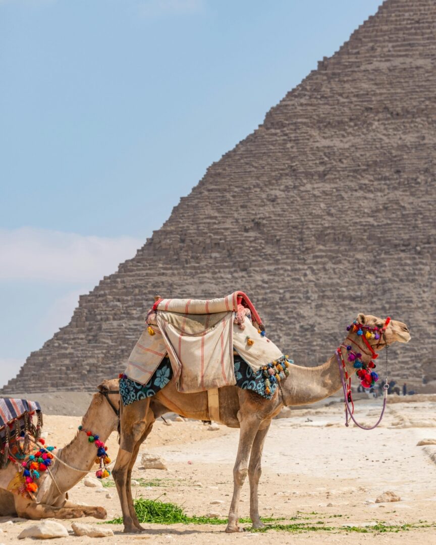 giza complex