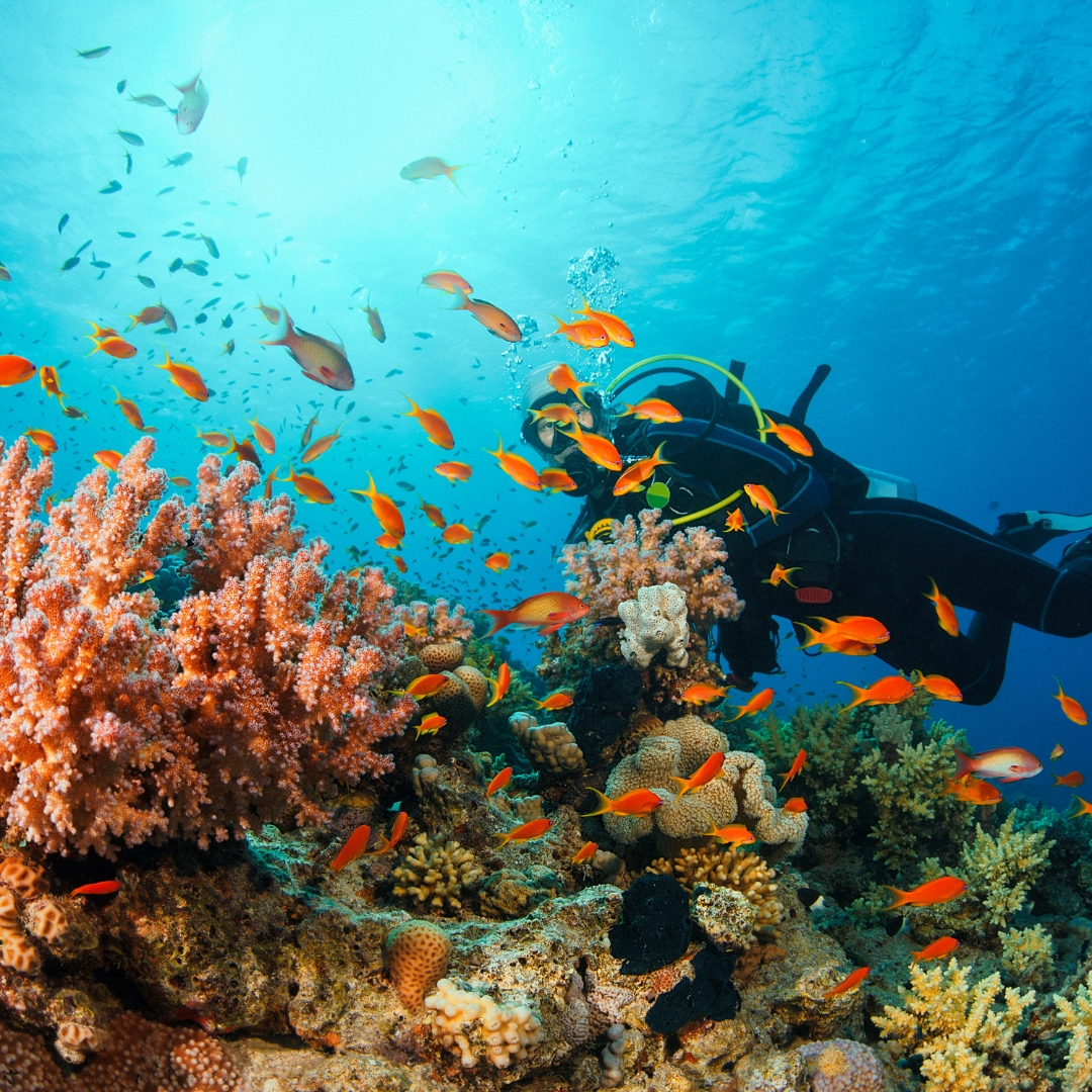 hurghada egipto
