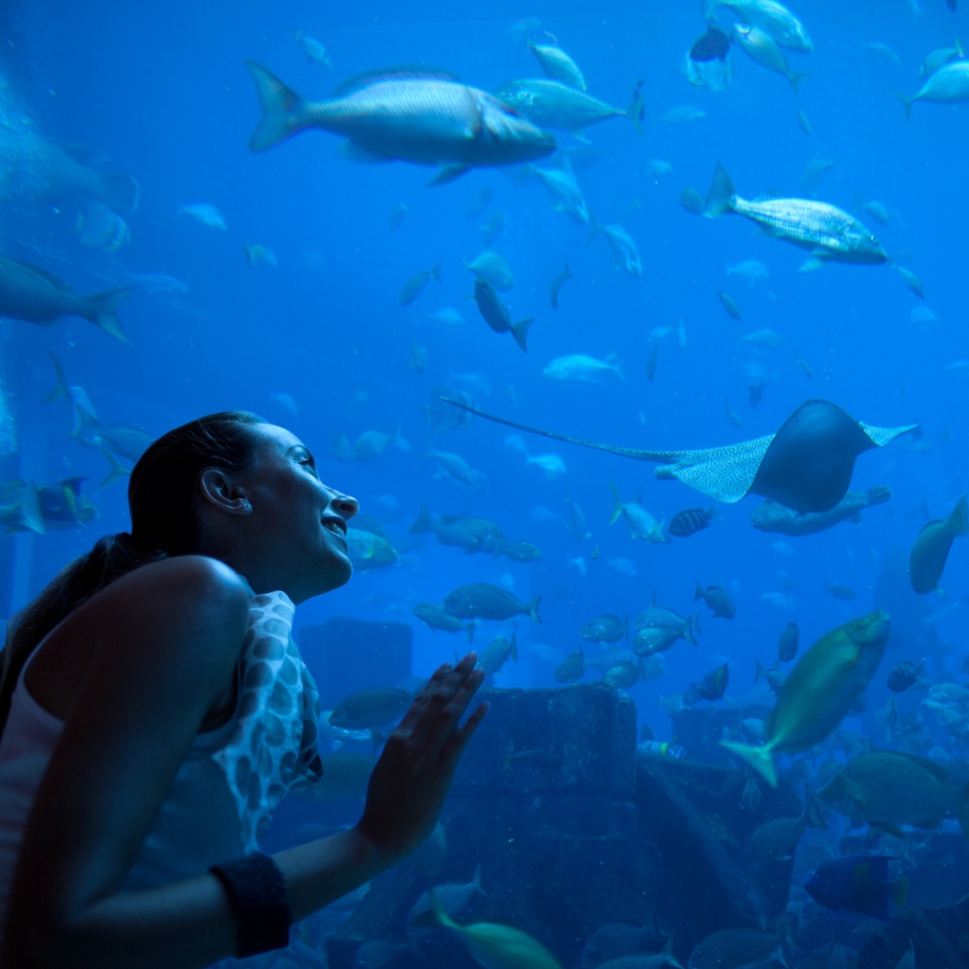 hurghada