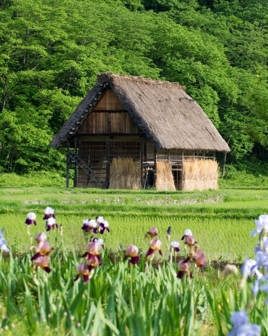 que ver cerca de kanazawa