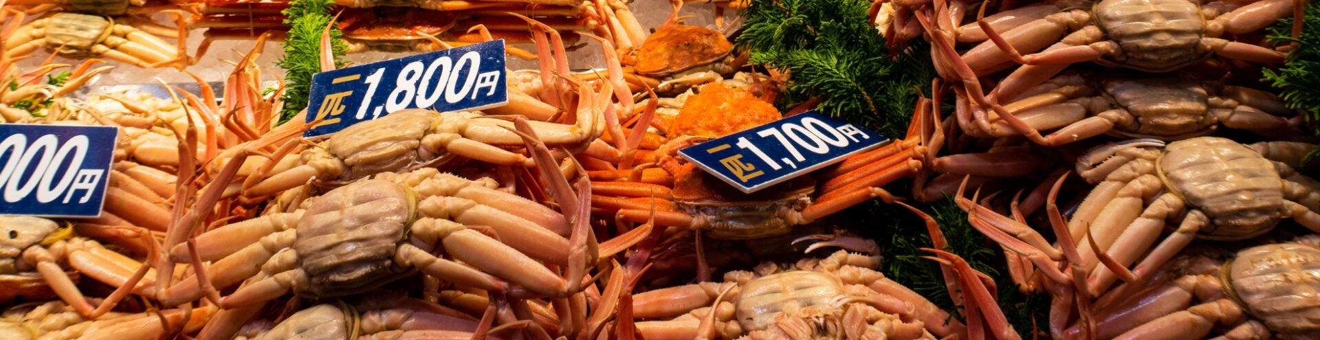 que ver en kanazawa en 1 día