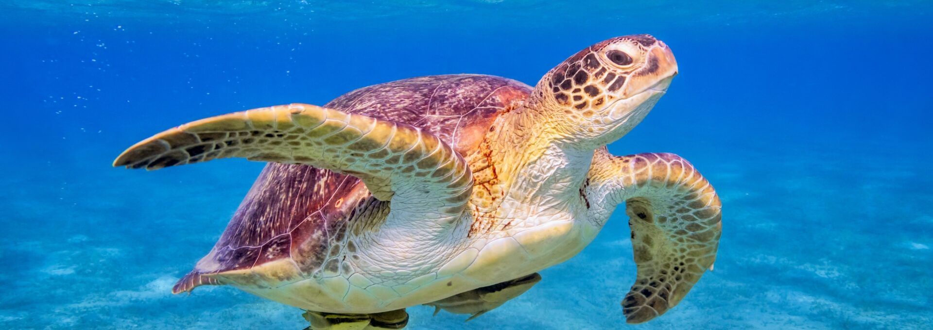 egipto marsa alam