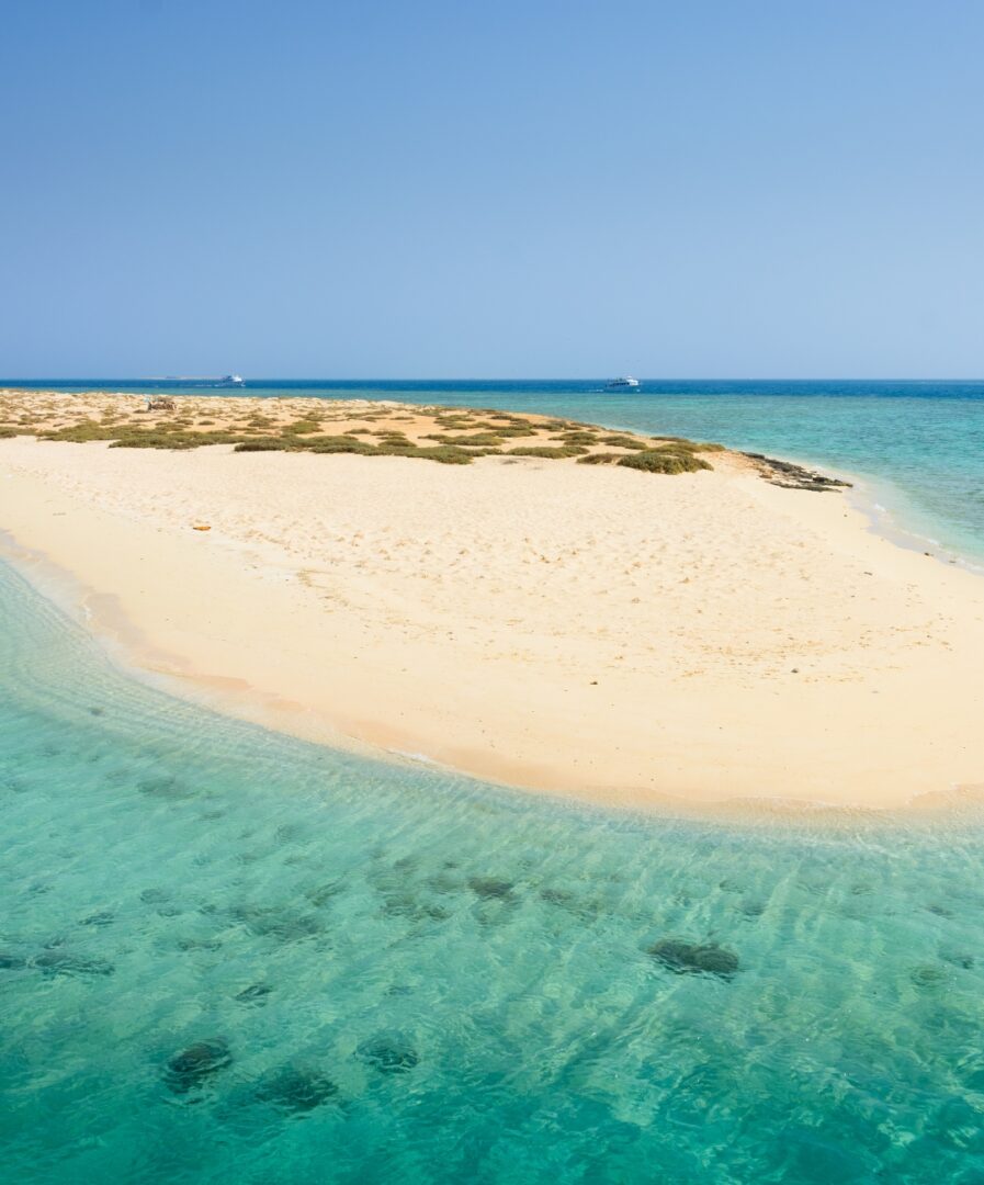 hotel jaz lamaya marsa alam