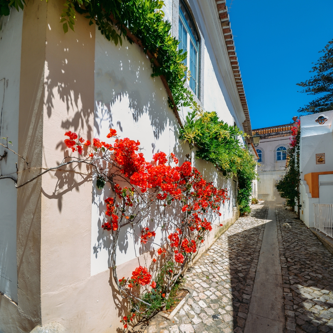 que ver en portugal en 7 dias