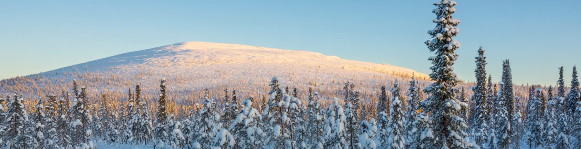 rovaniemi que ver