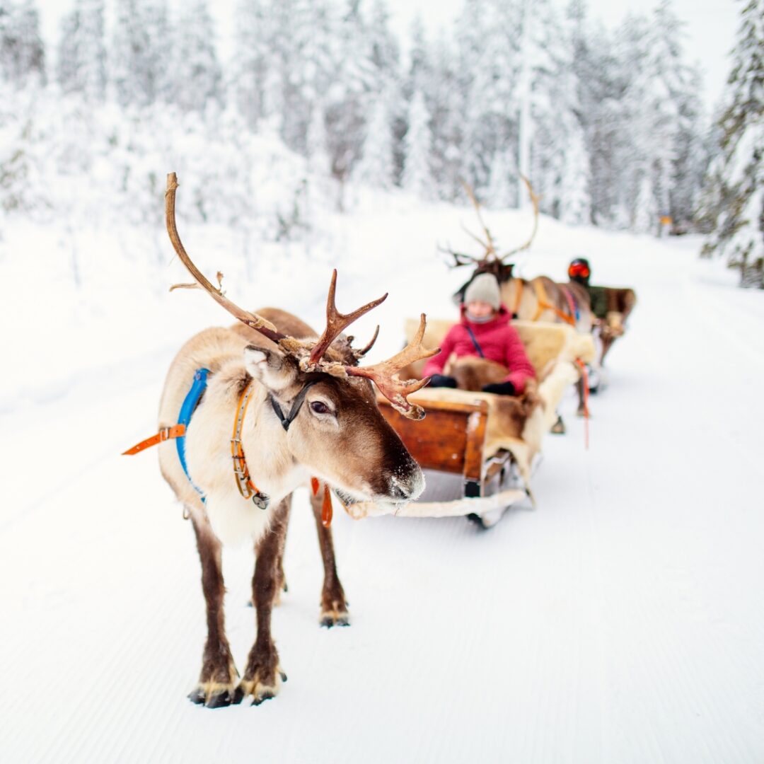 que ver alrededor de rovaniemi