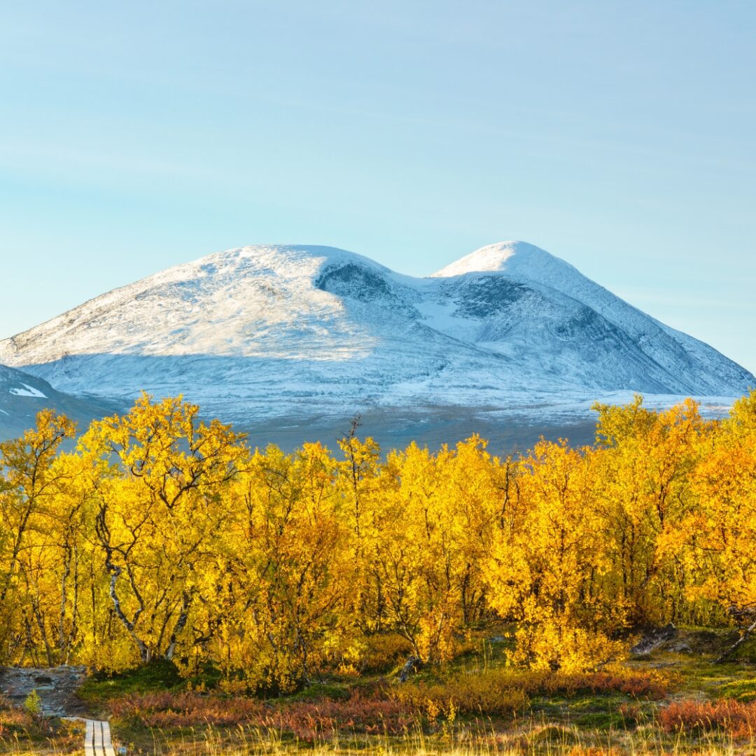 abisko que hacer suecia