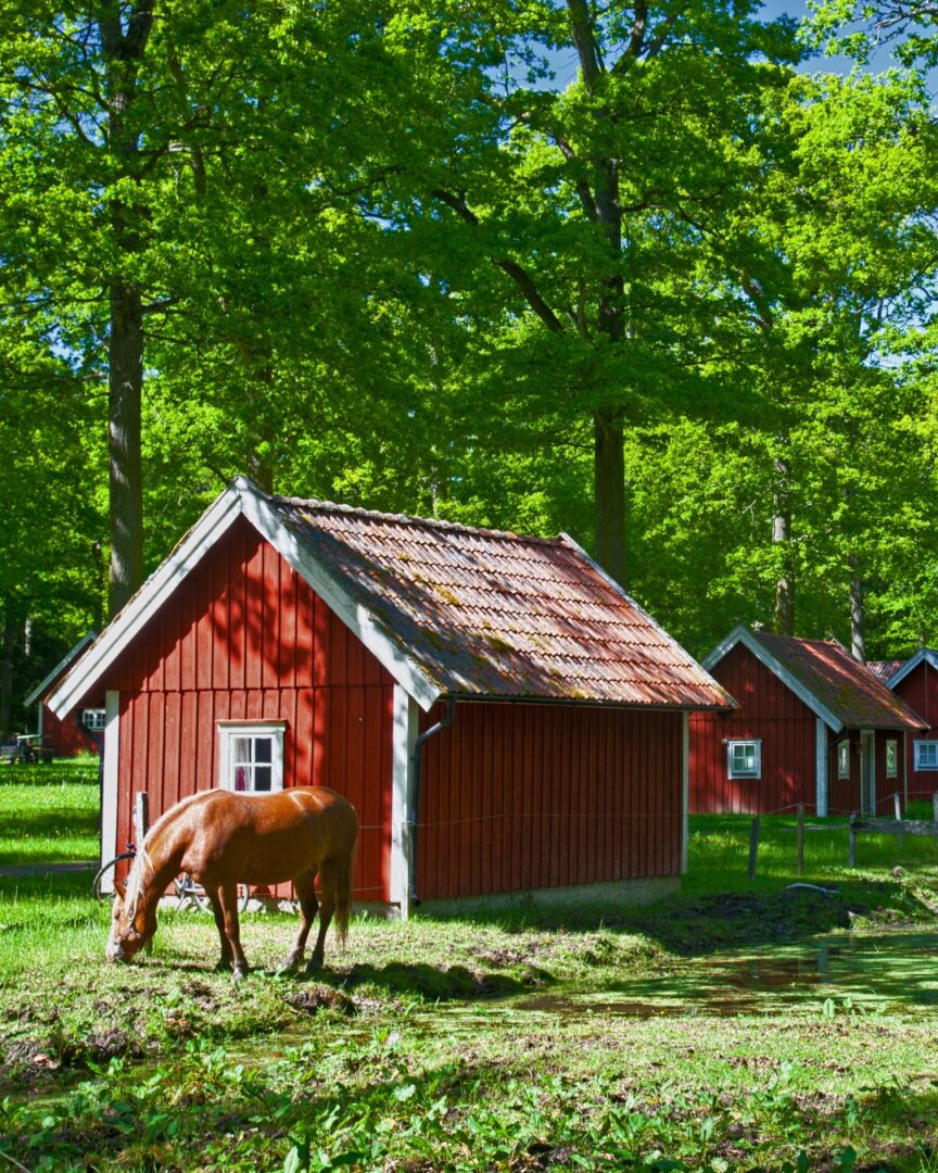 casas en suecia