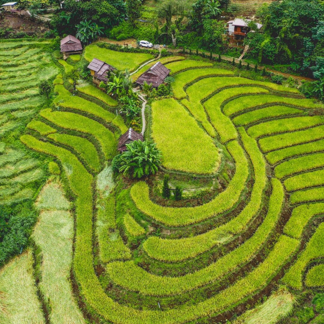 que ver en tailandia en 14 dias