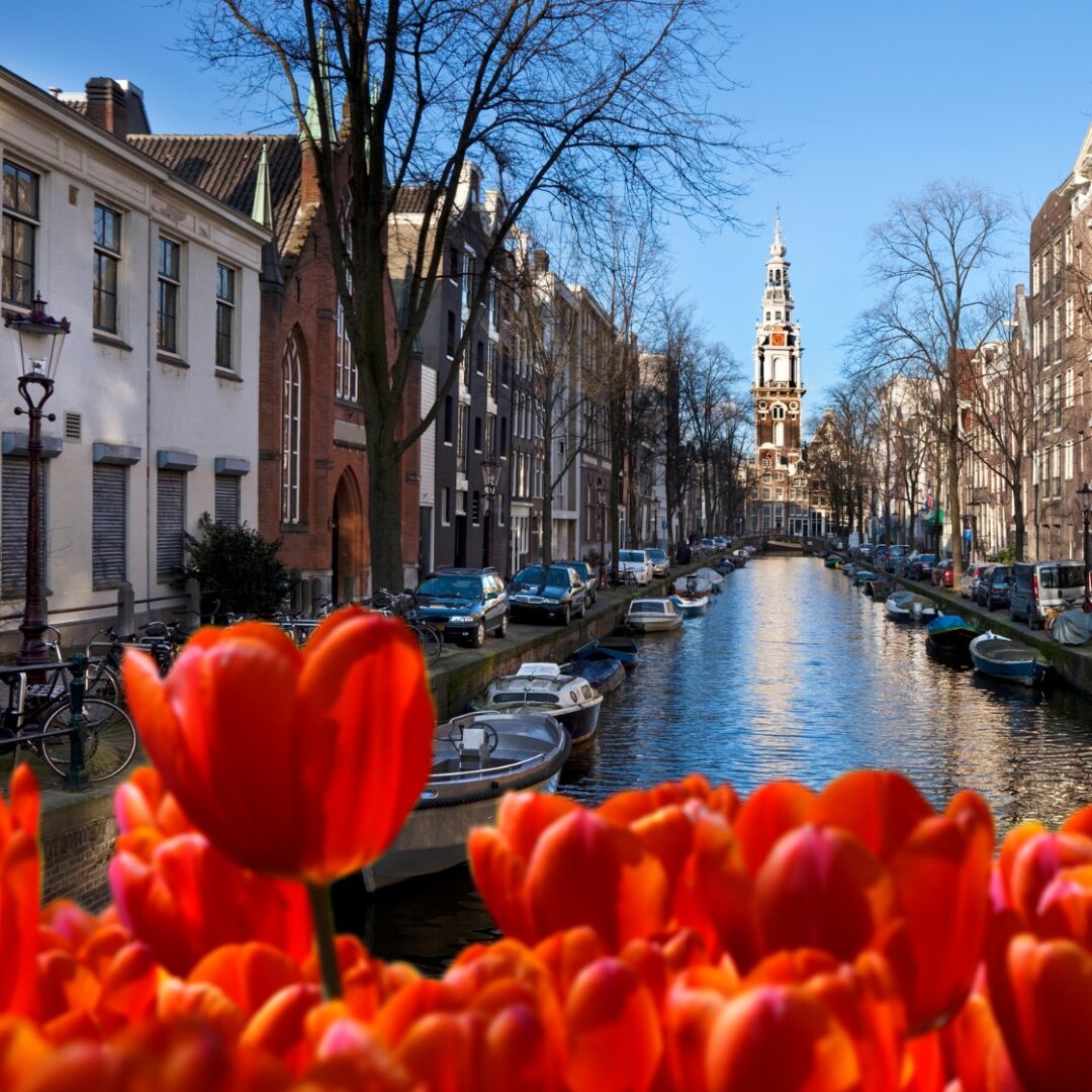 que ver en amsterdam en un dia