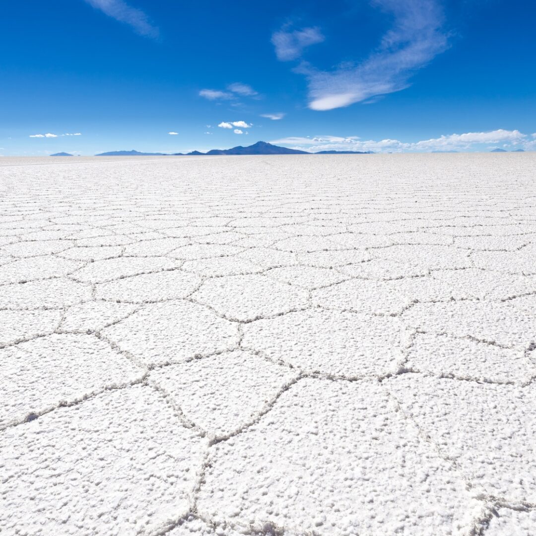 salinas en salta