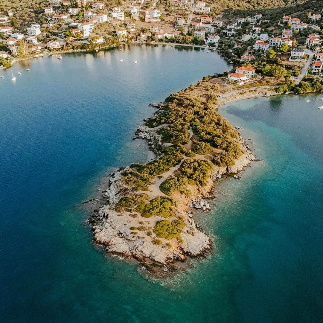 peninsula valdes tour