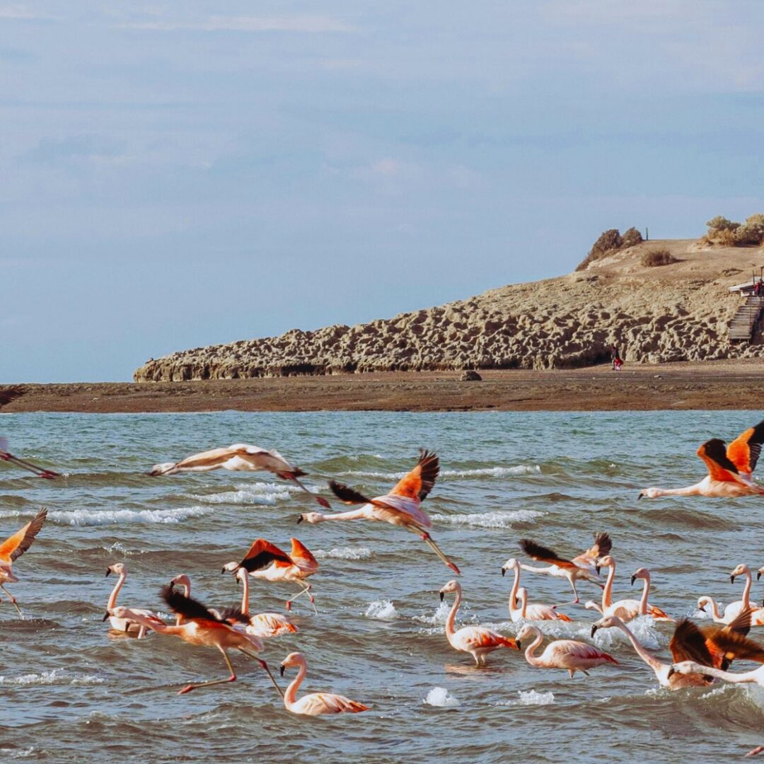 traslado puerto madryn