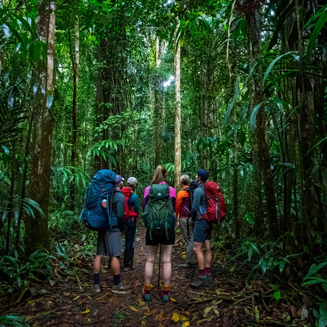 tour selva amazonas