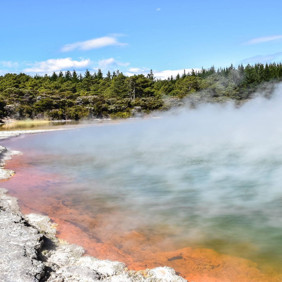 Naturaleza en Rotorua